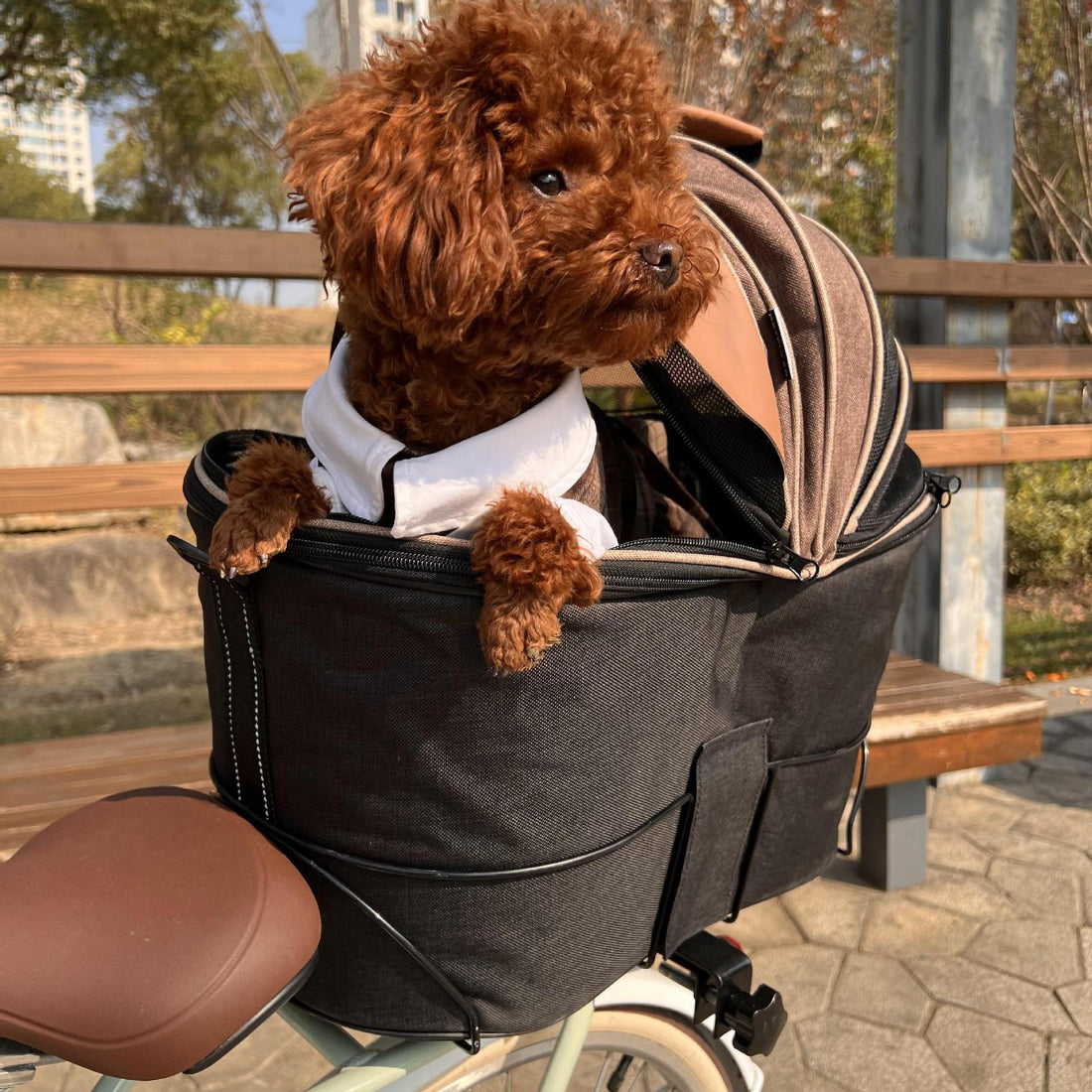 Foldable Canvas Pet Carrier Bag For Rear Seat
