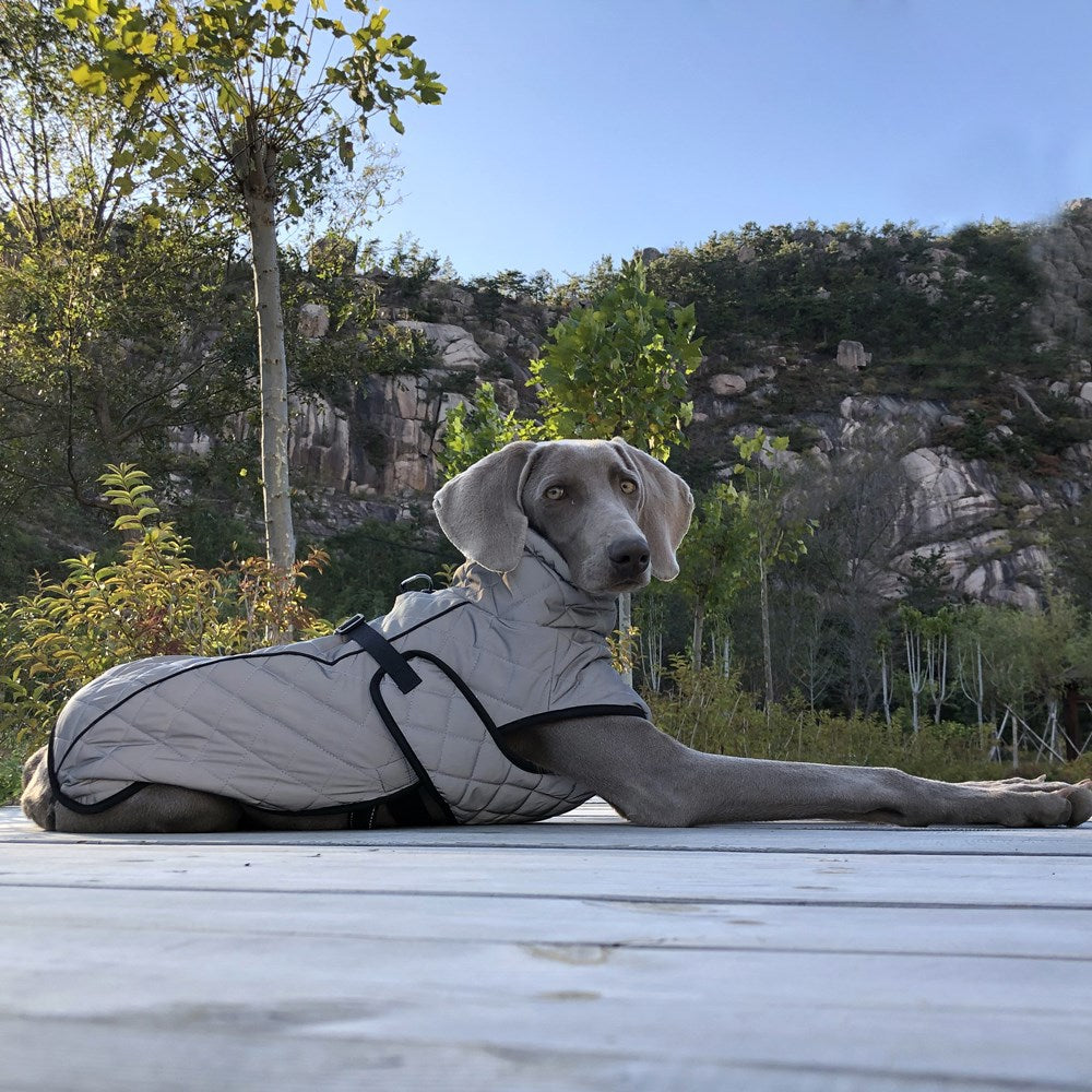 Full-Body Reflective Pet Tactical Jacket