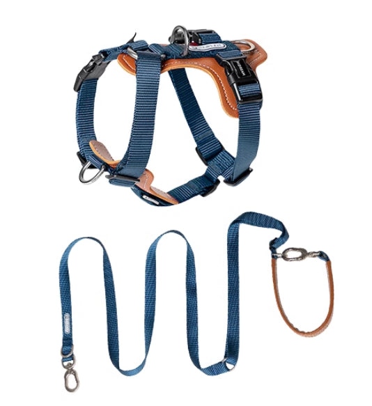 Pet Multifunctional Explosion-Proof Chest Strap Rope Leash