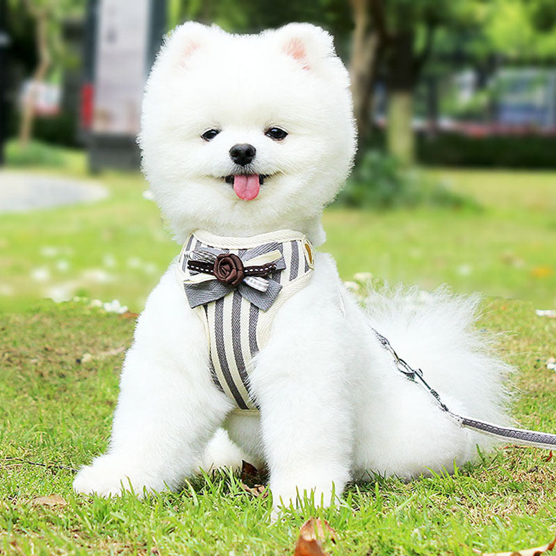 New Pet Chest Strap Harness Vest With Leash