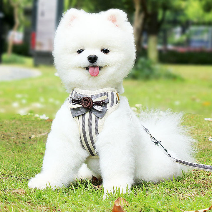 New Pet Chest Strap Harness Vest With Leash