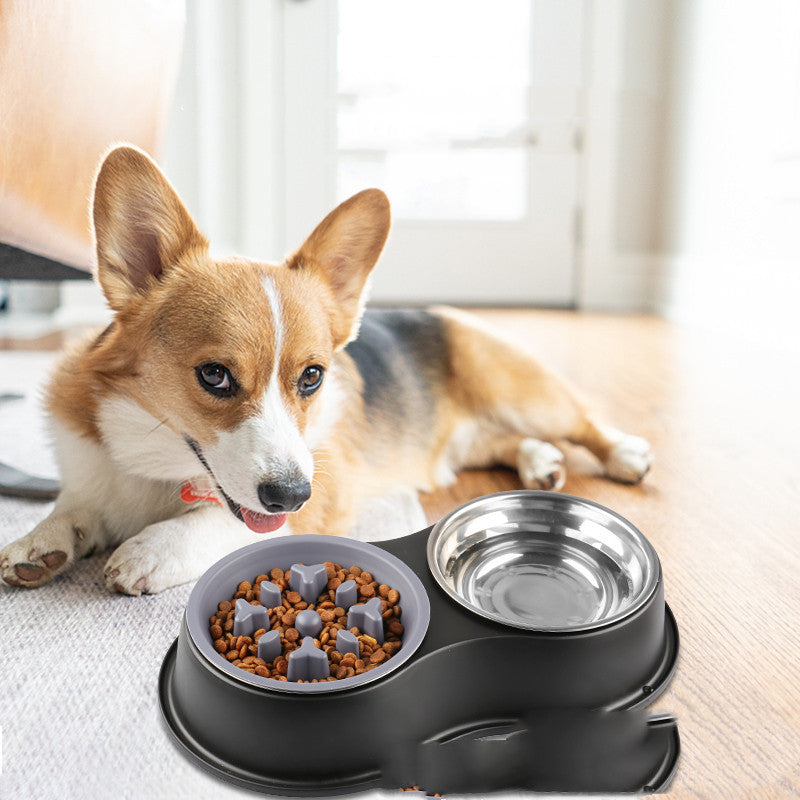 Pet Removable Slow Feeding Bowl Detachable Design
