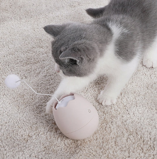 Funny Interactive Pet Toy Play Gadget