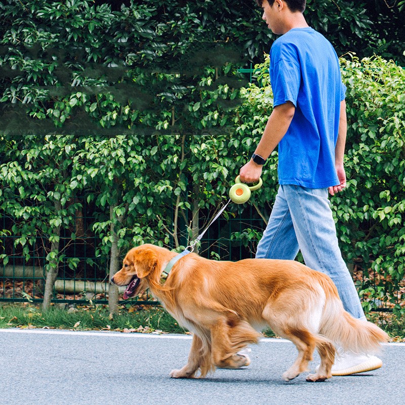 Retractable Pet Leash With LED Light