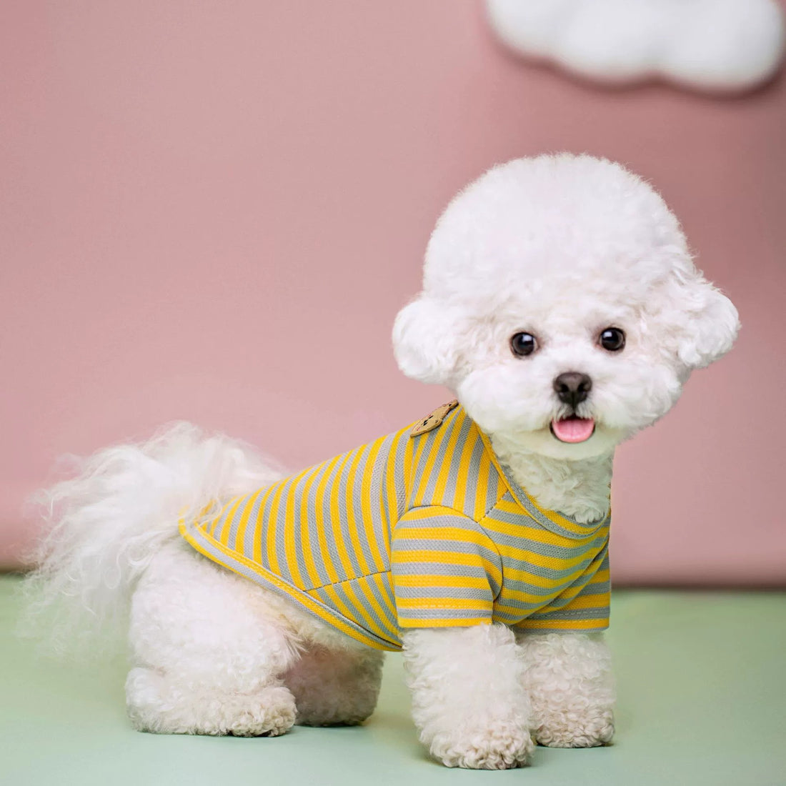 Breathable Summer Pet T-Shirt Clothing