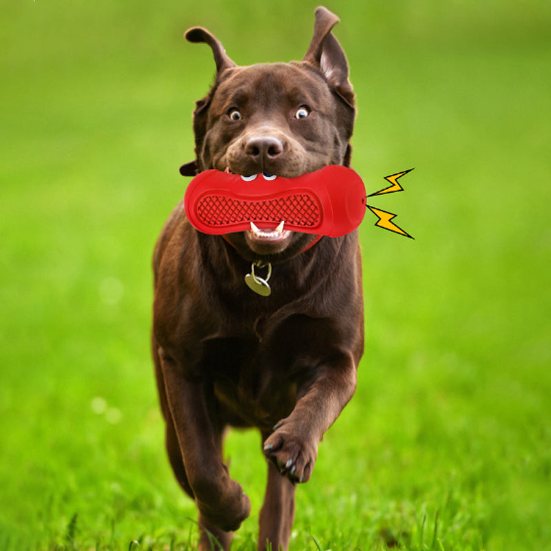 Natural Rubber Pet Chew Toy Teething Resistant Bite Toy