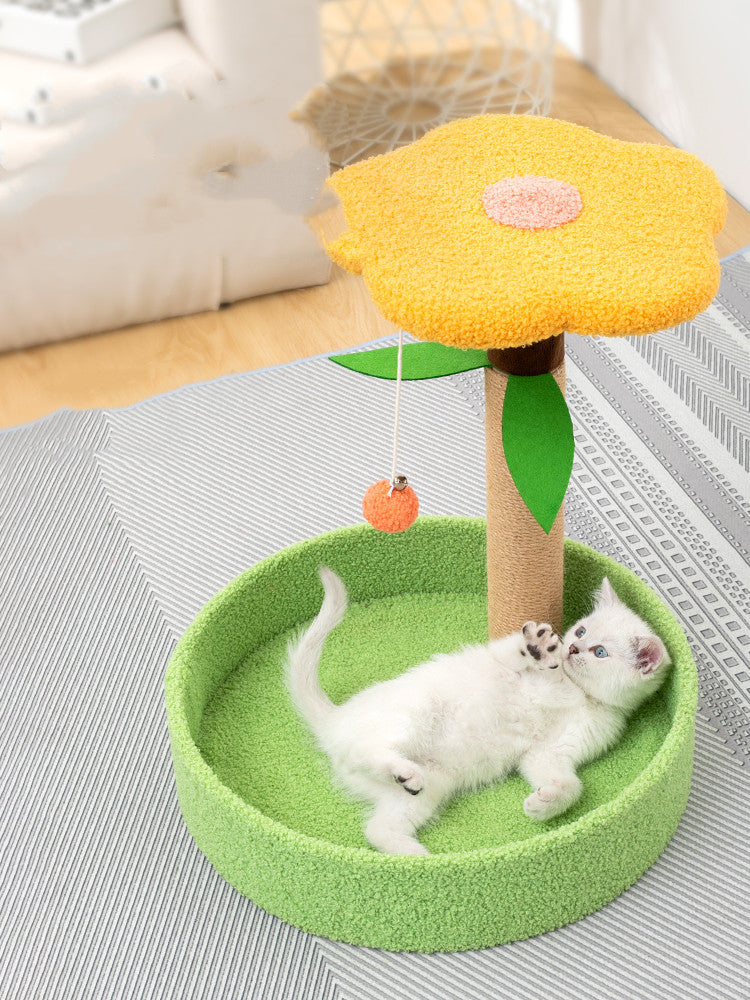 Claw Grinding and Interactive Pet Teaser Toy