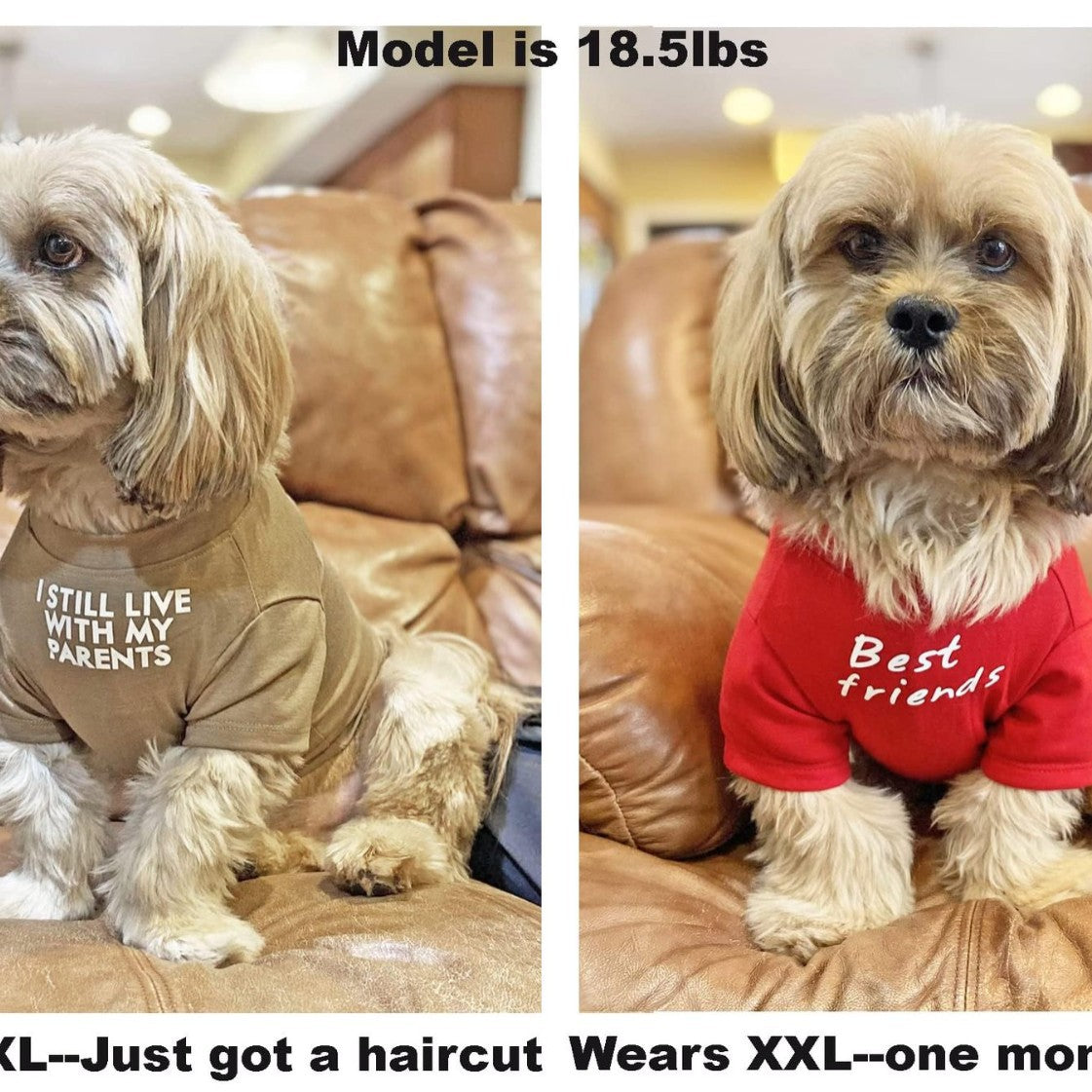 Pet Round Neck T-Shirt Clothing Apparel