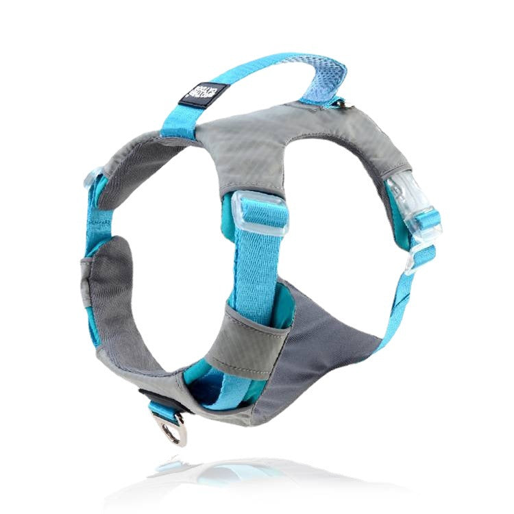Pet Explosion Proof Chest Strap Leash Storage Bag Set