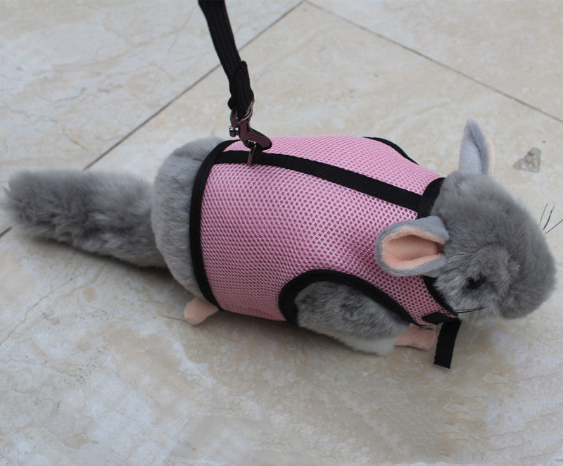 Adjustable Small Pet Leash For Walking