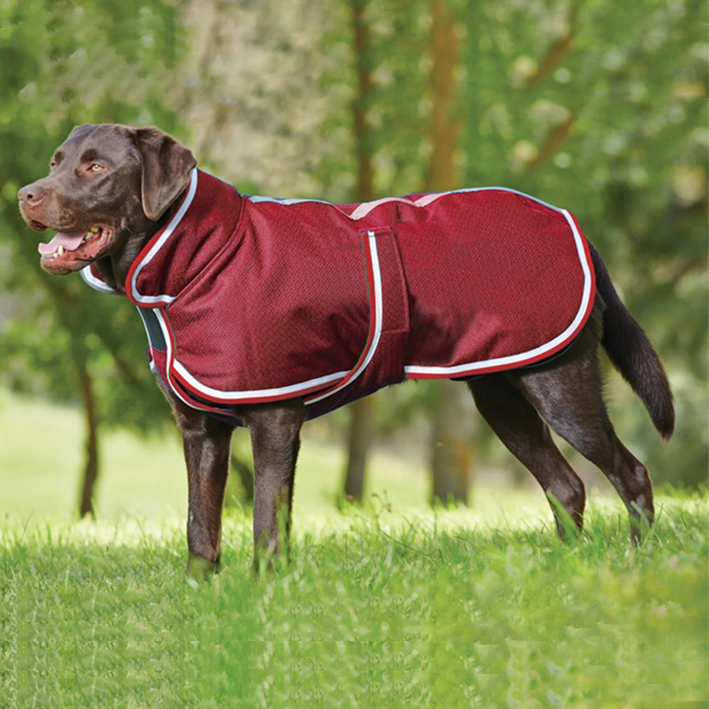 Waterproof Warm Autumn Winter Pet Leisure Jacket