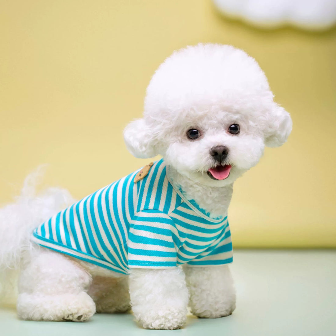Breathable Summer Pet T-Shirt Clothing