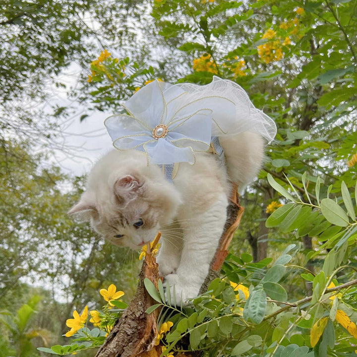 Layered Yarn Universal Pet Leash For Small Pets