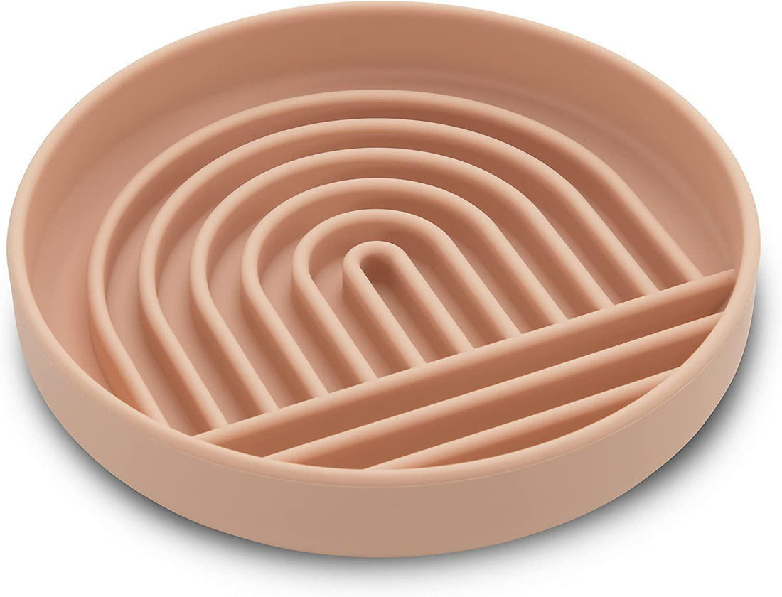 Pet Slow Feeding Bowl Fashion Simple Design