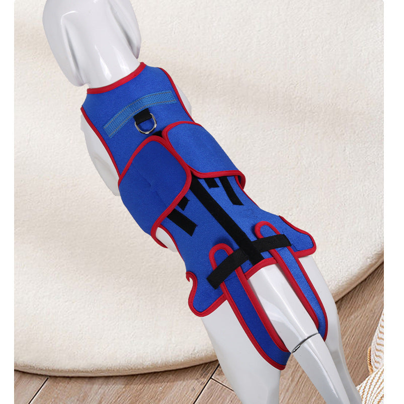 Pet Spine Support Jacket Corrects Posture And Prevents Hunching