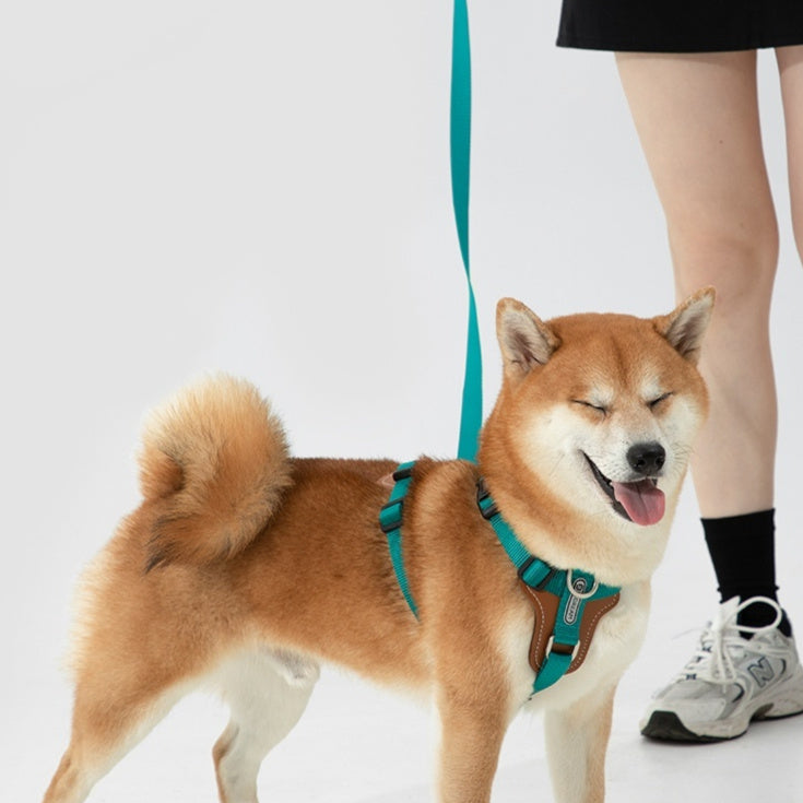 Pet Multifunctional Explosion-Proof Chest Strap Rope Leash