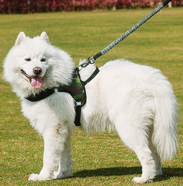 Pet Chest Harness With Adjustable Leash