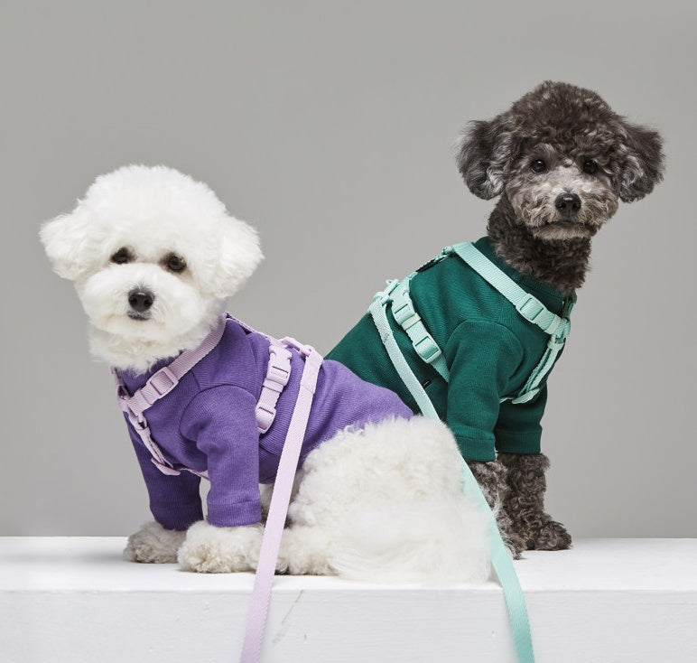 Macaron-Style Adjustable Pet Leash