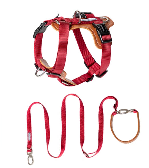 Pet Multifunctional Explosion-Proof Chest Strap Rope Leash