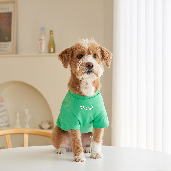 Korean Style Pet Cotton Short Sleeve T-Shirt