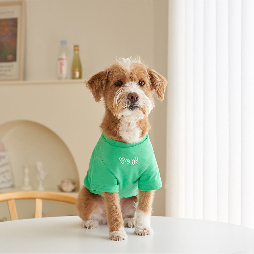 Korean Style Pet Cotton Short Sleeve T-Shirt