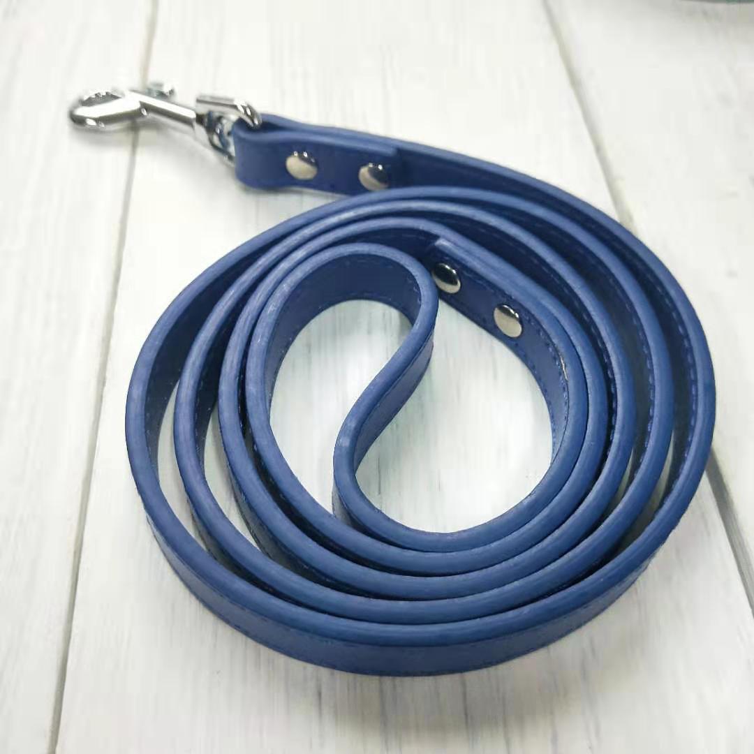Pet Leash With Adjustable Collar
