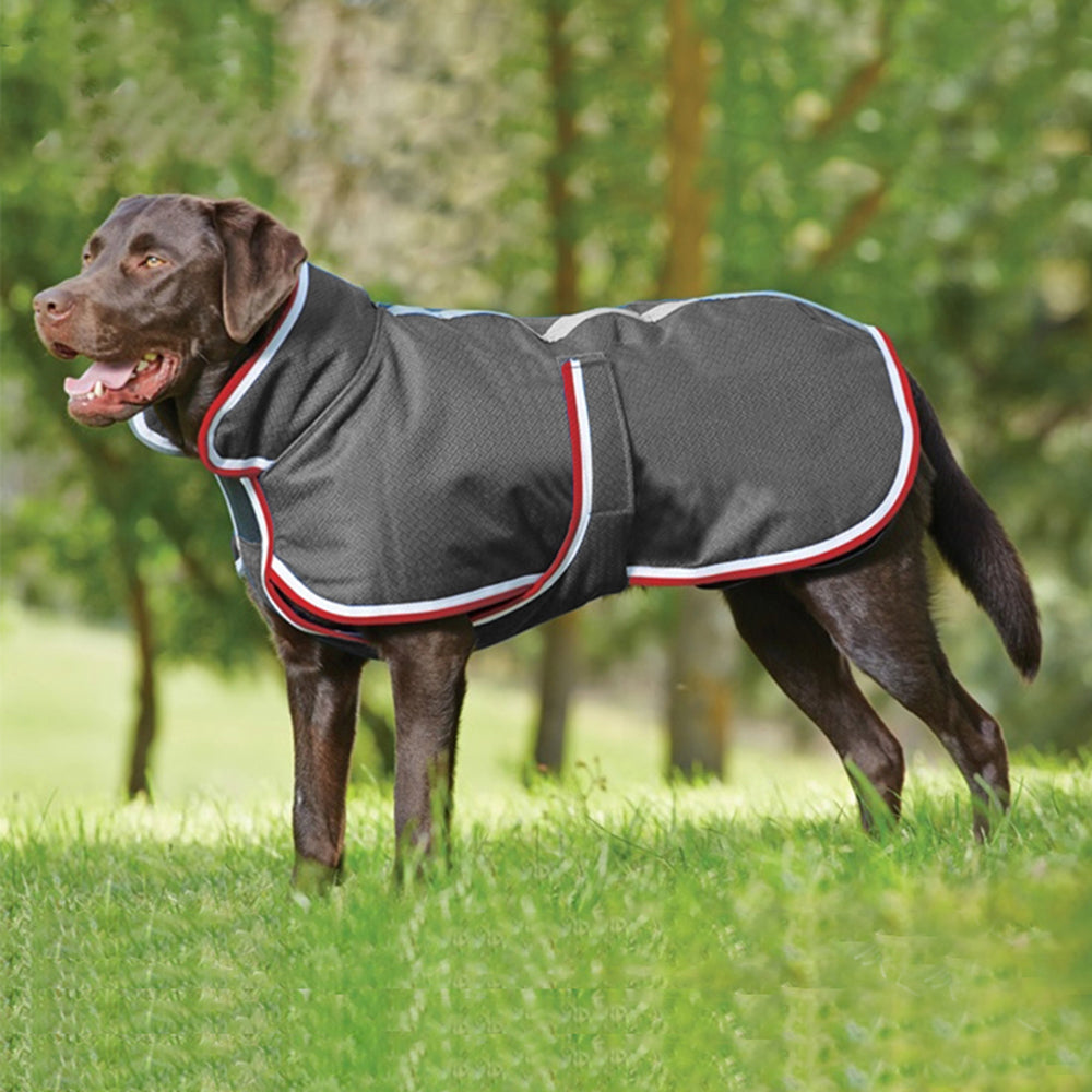 Waterproof Warm Autumn Winter Pet Leisure Jacket