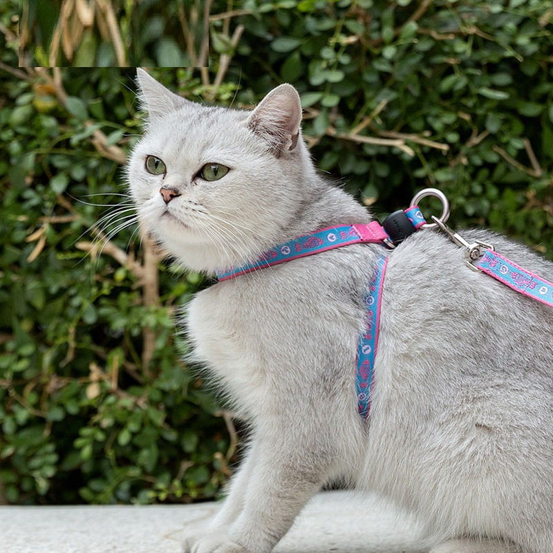 Pet Harness Vest With Bell And Adjustable Leash