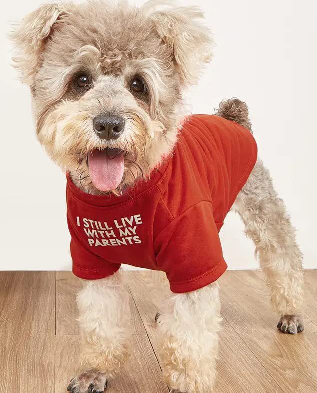 Pet Round Neck T-Shirt Clothing Apparel