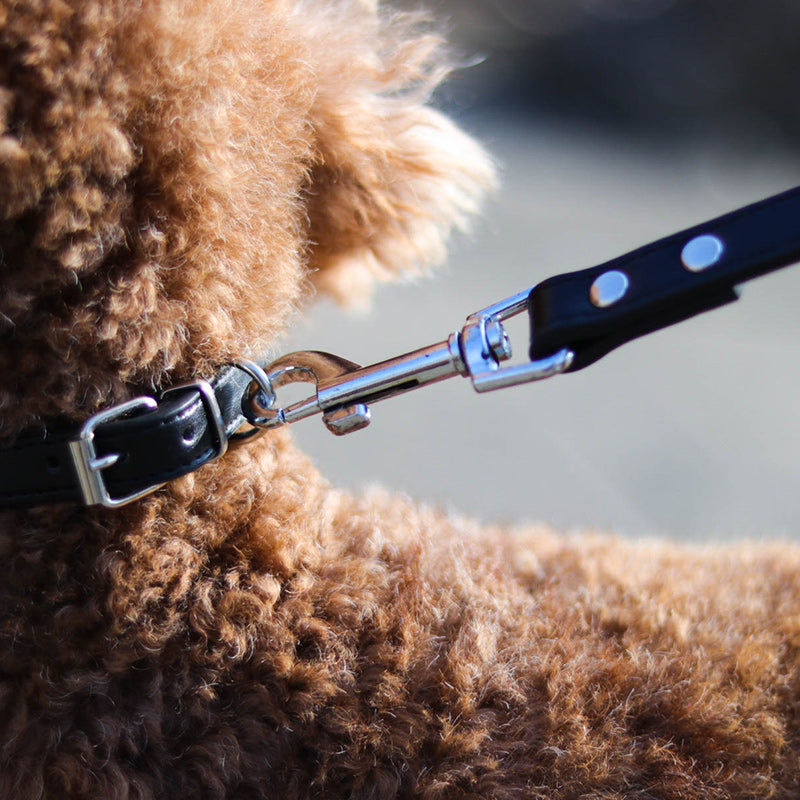 Pet Leash With Adjustable Collar