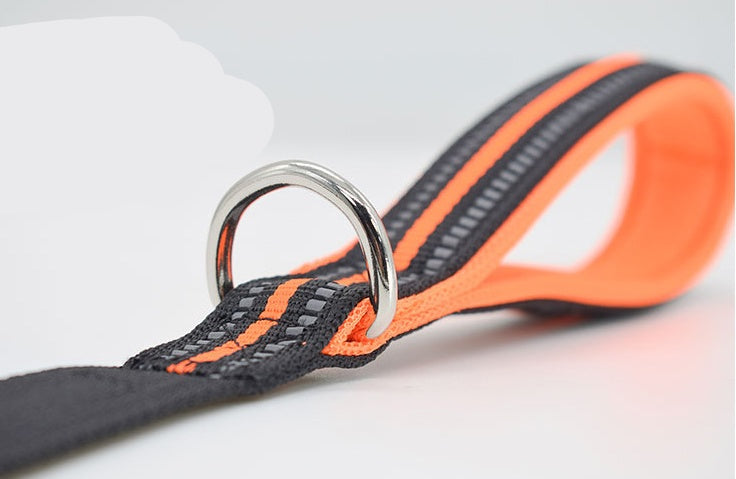 Pet Nylon Assisted Retractable Leash Durable Walking Lead