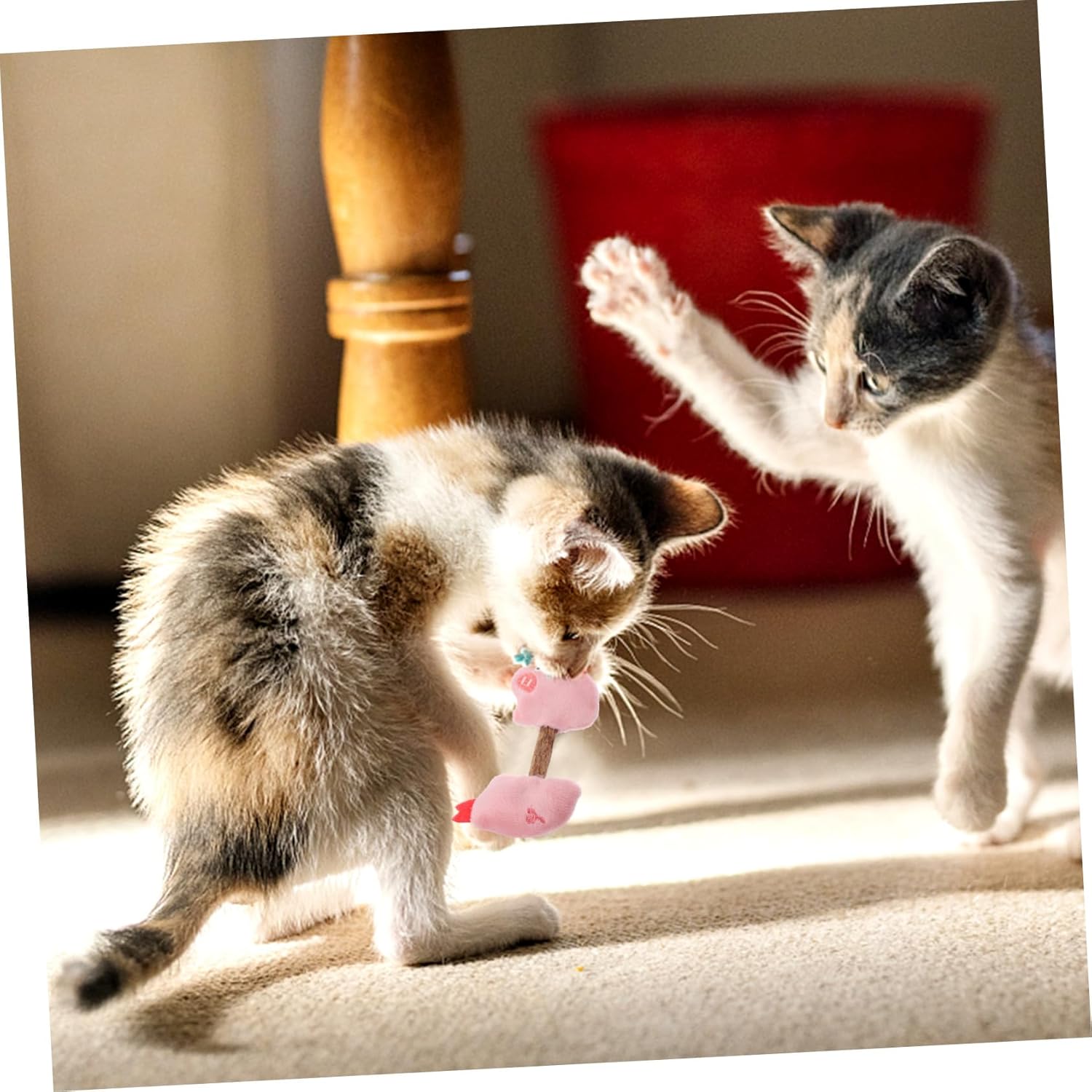 Pet Chew Stick Silvervine Teeth Cleaning Interactive Toy