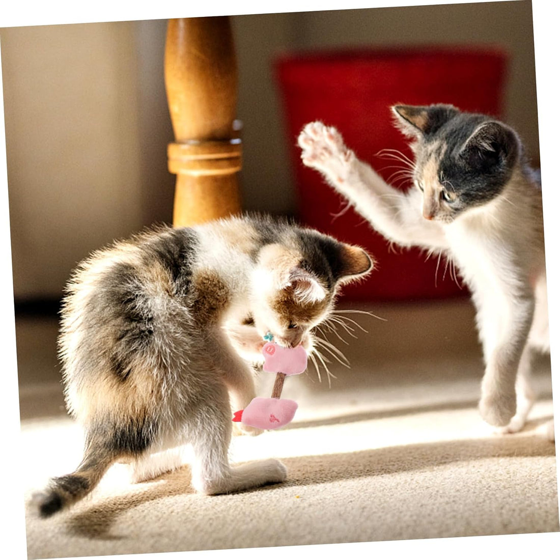Pet Chew Stick Silvervine Teeth Cleaning Interactive Toy