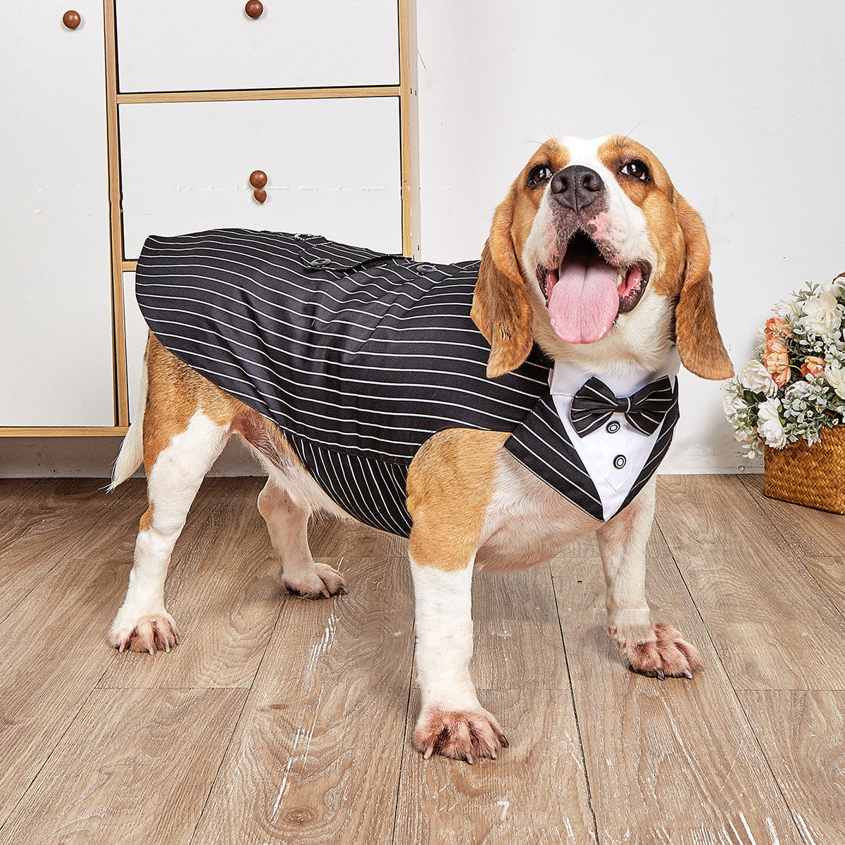 Pet Wedding Suit Swallowtail Jacket Clothing