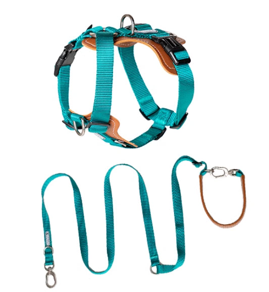 Pet Multifunctional Explosion-Proof Chest Strap Rope Leash