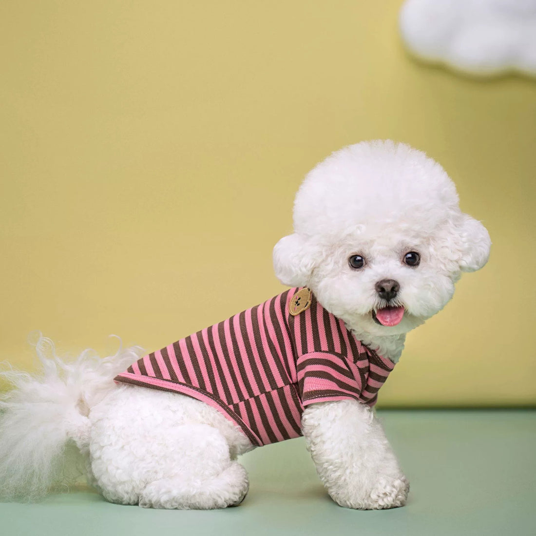 Breathable Summer Pet T-Shirt Clothing