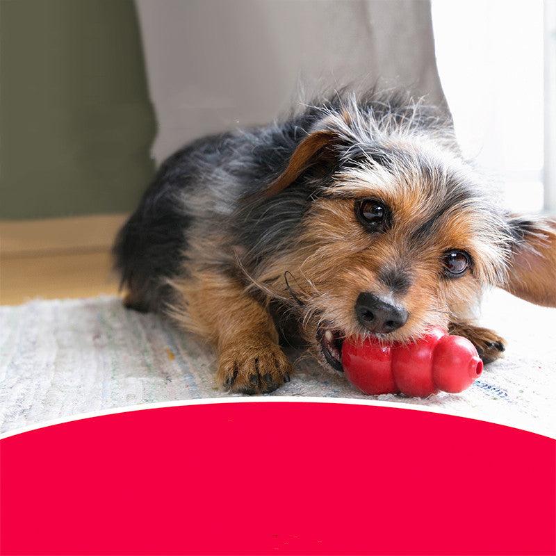 Bite-Resistant Rubber Pet Chew Grinding Toy