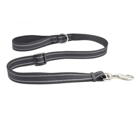 Pet Nylon Assisted Retractable Leash Durable Walking Lead