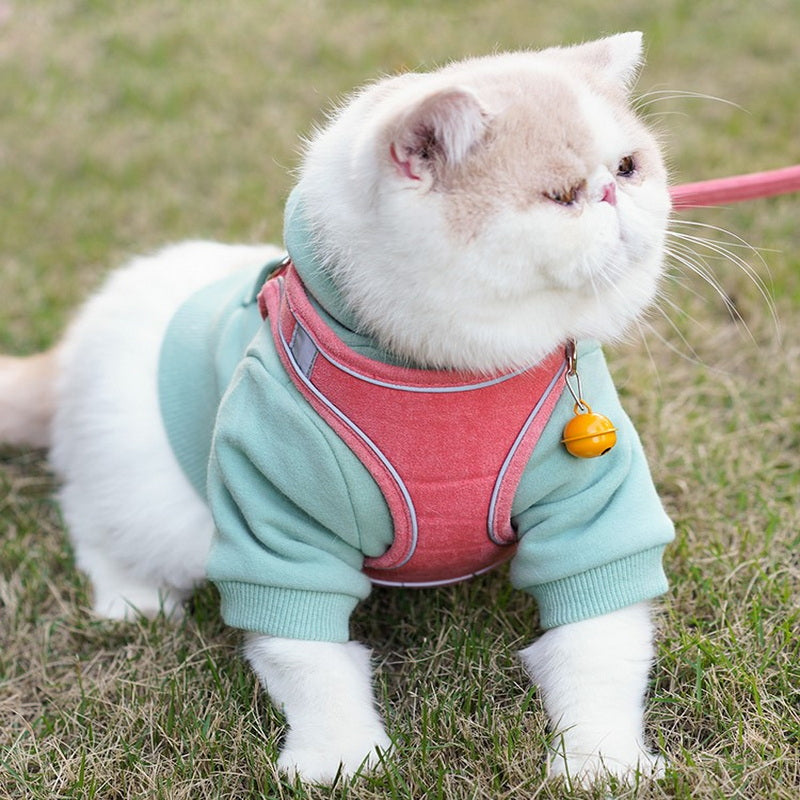 Pet Vest Type Chest Harness With Leash Set