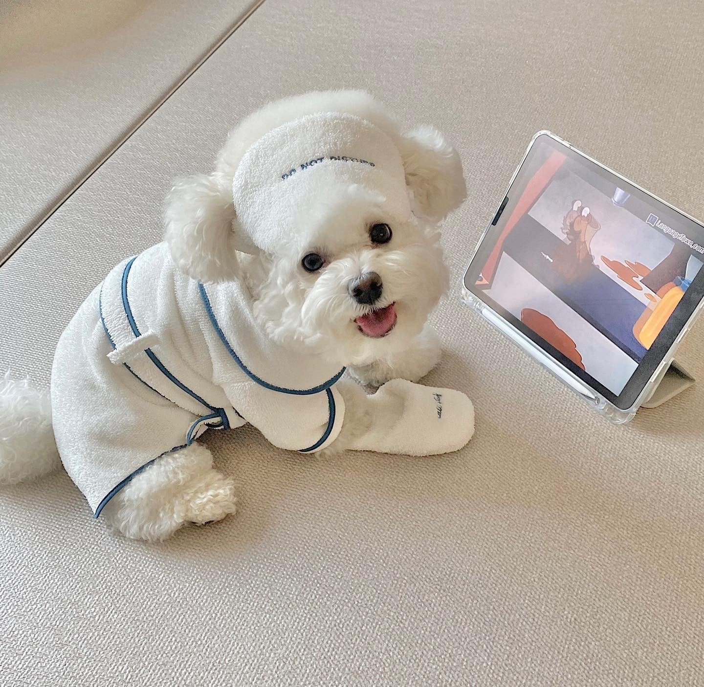 Pet Bathrobe Towel Photo Prop Set