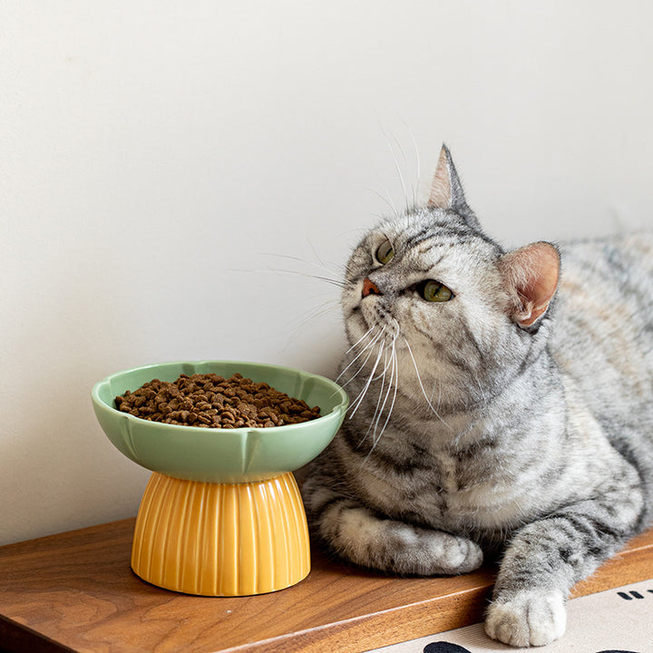 Pet Macaron Candy Color Ceramic Feeding Bowl