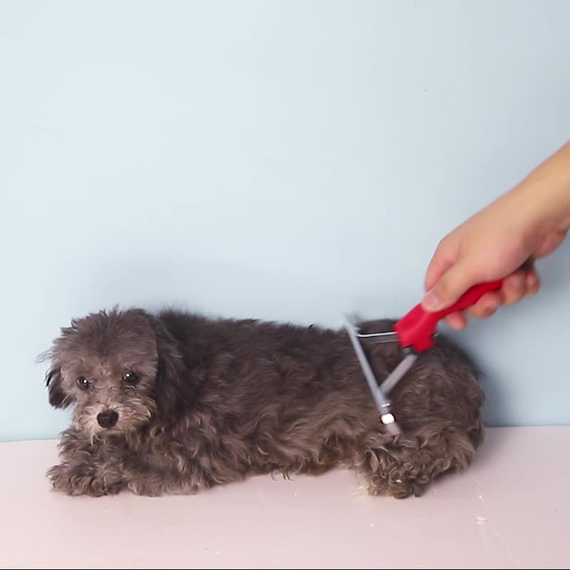 Extra-Large Pet Rake Comb Grooming Deshedding Tool