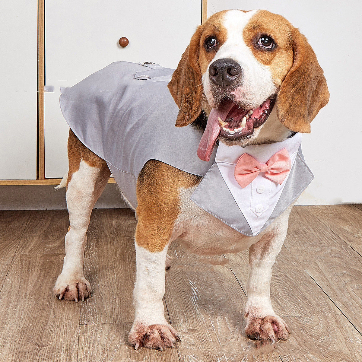 Pet Wedding Suit Swallowtail Jacket Clothing