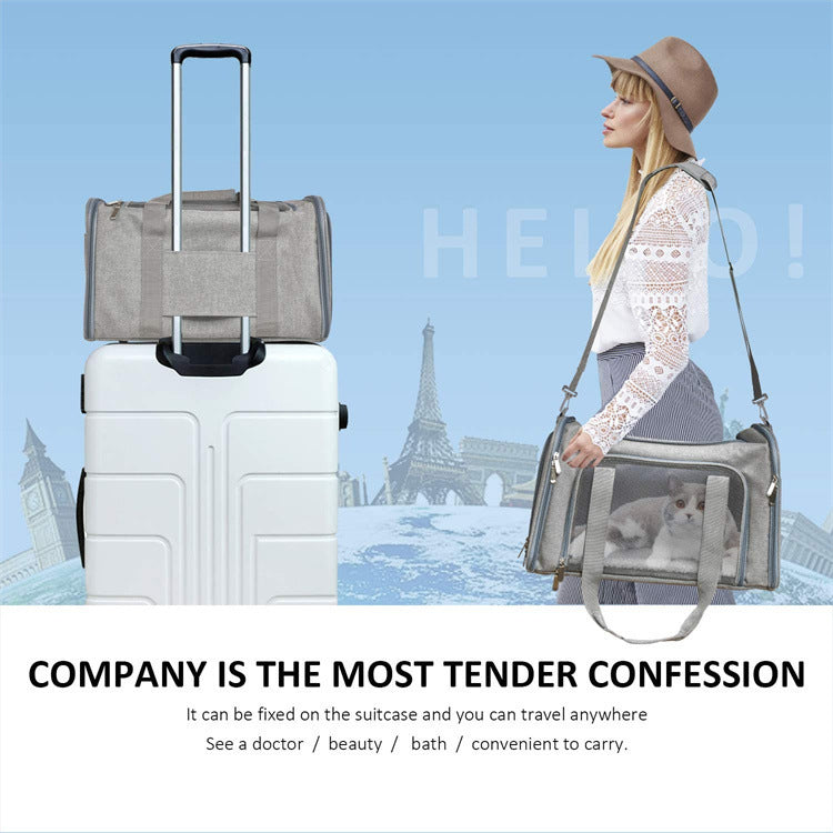 Portable Foldable Handheld Pet Carrier Bag