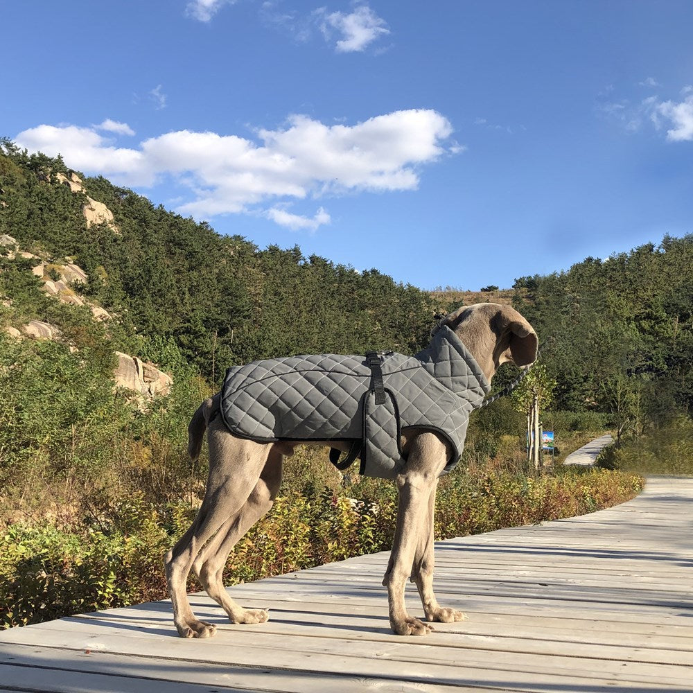 Full-Body Reflective Pet Tactical Jacket