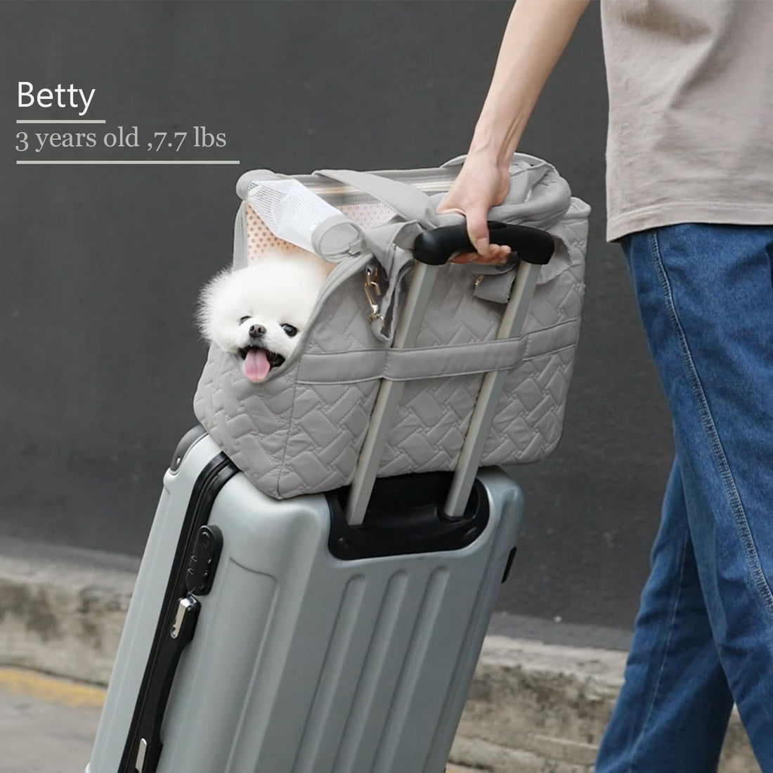 Breathable Mesh Pet Carrier Bag With Multiple Pockets And Cushion