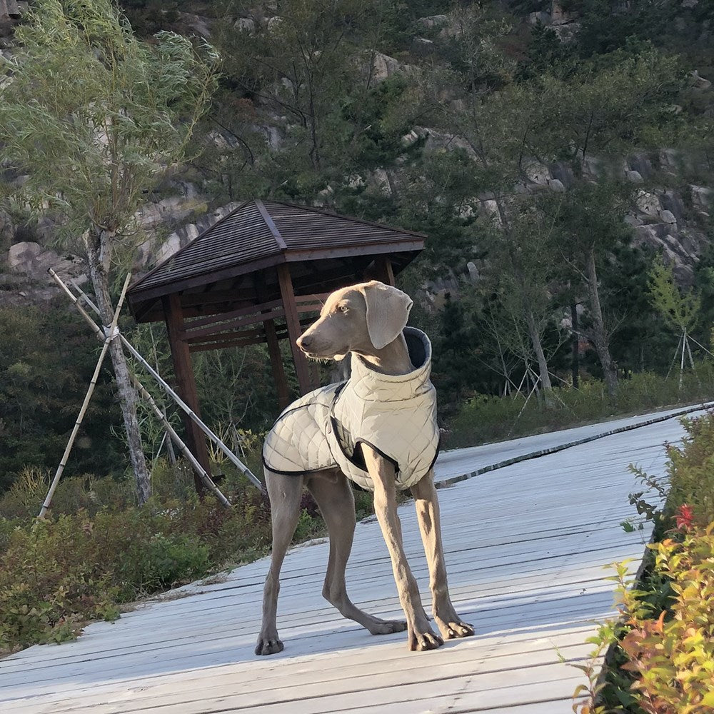 Full-Body Reflective Pet Tactical Jacket