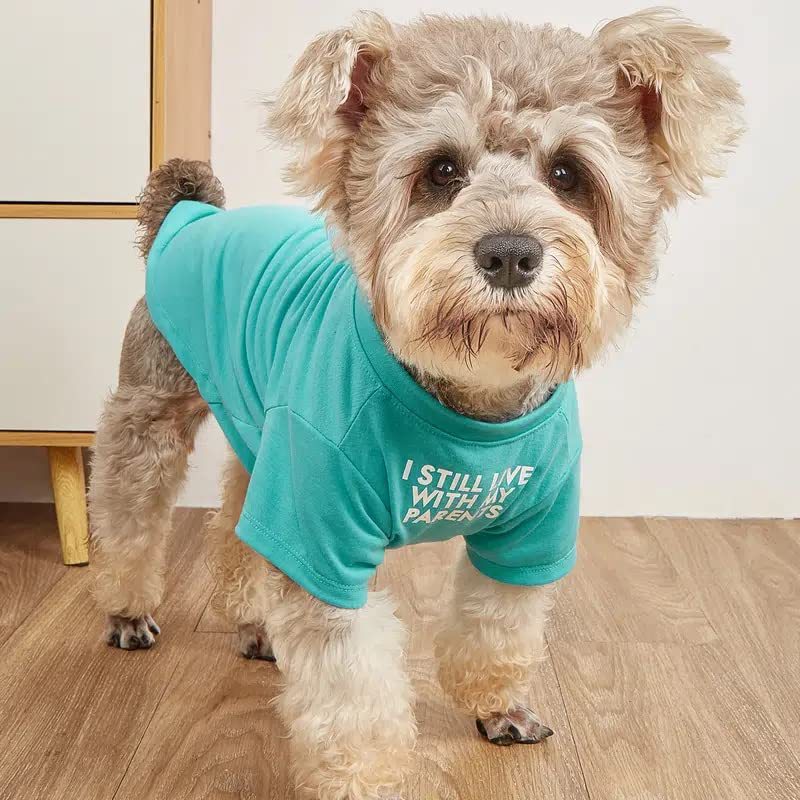 Pet Round Neck T-Shirt Clothing Apparel