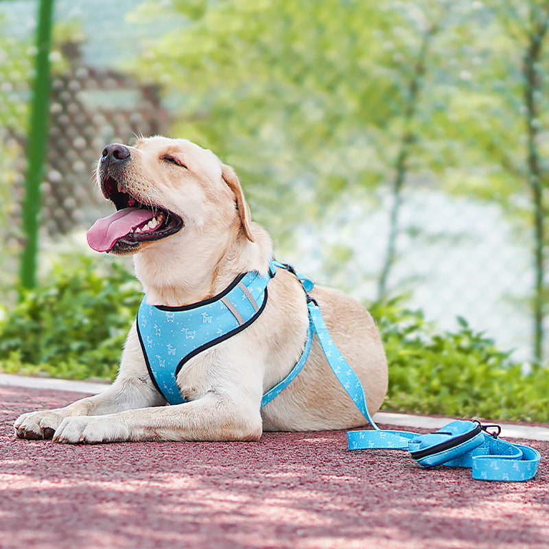 Pet Bow Design Harness With Leash Set