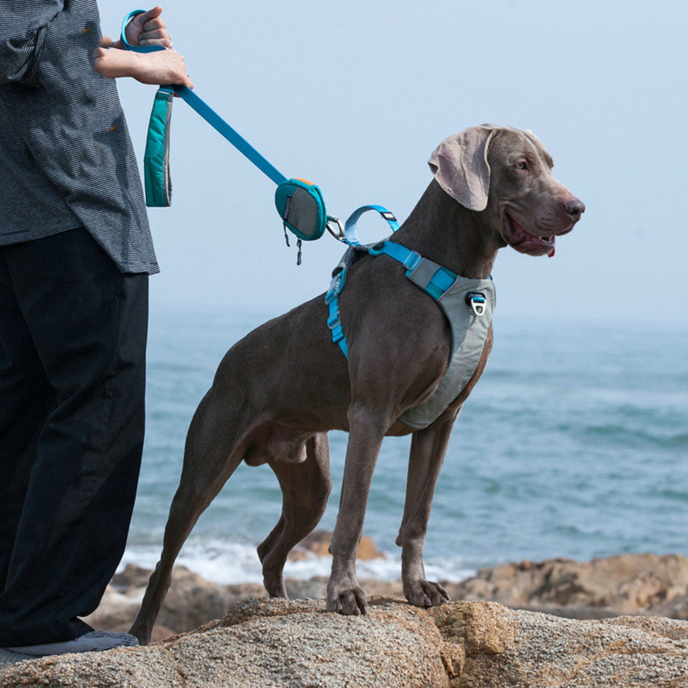 Pet Explosion Proof Chest Strap Leash Storage Bag Set
